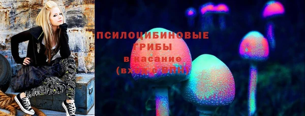 СК Сясьстрой