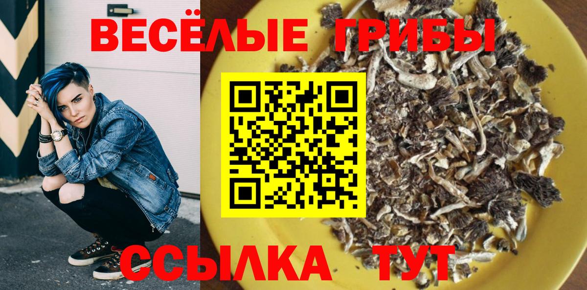 Галлюциногенные грибы Psilocybe Балабаново