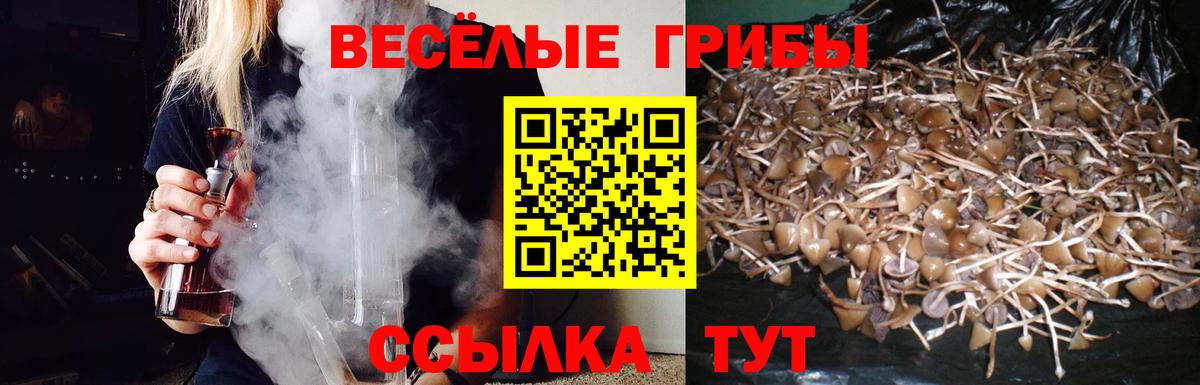 Балабаново  Галлюциногенные грибы Magic Shrooms  Вход с VPN 