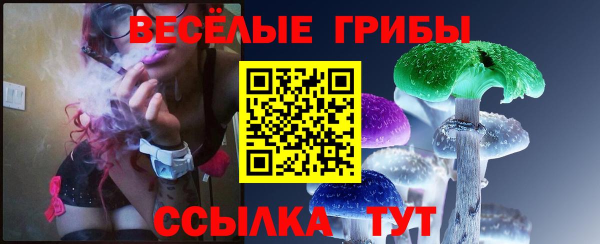 Псилоцибиновые грибы ЛСД Балабаново